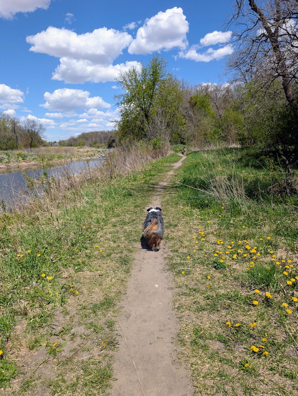 Jasmine walking a hiking trial at Palisades State Park